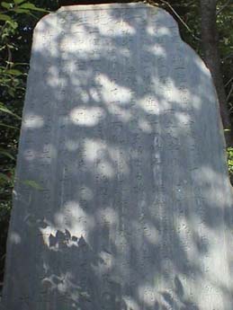 Welcome to Adobe GoLive 5